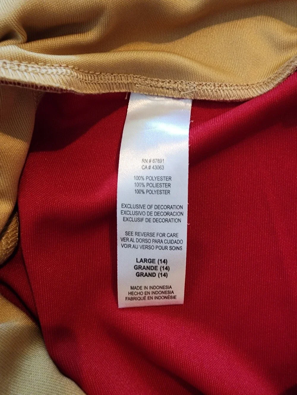San Francisco 49ers Cheerleader Outfit